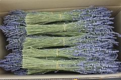 Diversen H% 50cm 100gram
