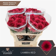 Chr G Lamira Red 70cm 85gram