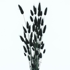 Droogbl Bewerkt H% 60cm 60gram