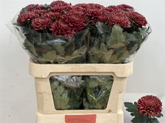 Chr G Bigoudi Red 80cm 130gram