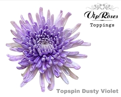 Chr G Topspin Dusty Violet