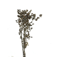 Decor Groen Other 70cm