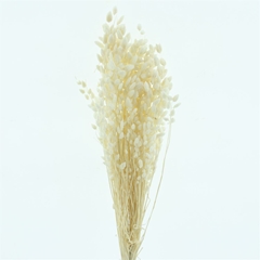 Droogbl Bewerkt H% 50cm