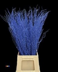 Betula / Berkentak Blue
