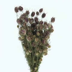 Droogbl Bewerkt H% 50cm 200gram