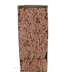 Schinus M Dec Bes Bs 30cm 200gram