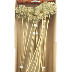 Droogbl Bewerkt H% 90cm