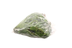 Cham Ob N Grac P Bs 20cm