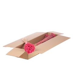Droogbl Bewerkt H% 40cm