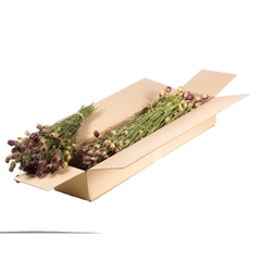 Droogbl Bewerkt H% 45cm