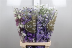 Delph Du Mixed 100cm 24