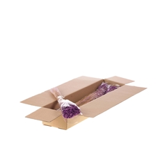 Droogbl Bewerkt H% 50cm