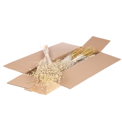Droogbl Bewerkt H% 40cm