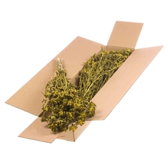 Droogbl Bewerkt H% 50cm