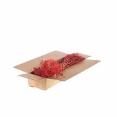 Droogbl Bewerkt H% 55cm