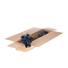 Droogbl Bewerkt H% 55cm