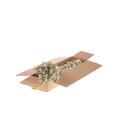 Droogbl Bewerkt H% 50cm