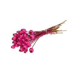 Droogbl Bewerkt H% 55cm