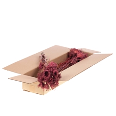 Droogbl Bewerkt H% 50cm