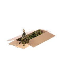 Droogbl Bewerkt H% 55cm 150gram