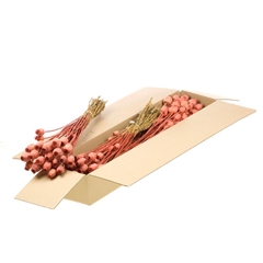 Droogbl Bewerkt H% 55cm 150gram