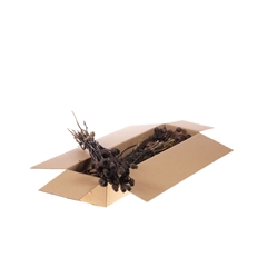 Droogbl Bewerkt H% 55cm 150gram