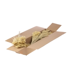 Droogbl Bewerkt H% 40cm 130gram