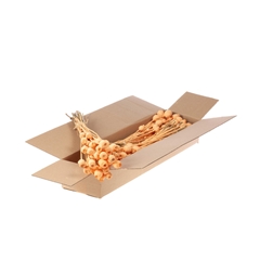 Droogbl Bewerkt H% 55cm 150gram
