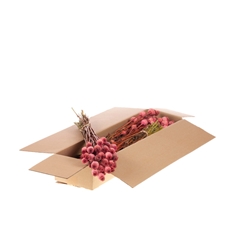 Droogbl Bewerkt H% 55cm 150gram