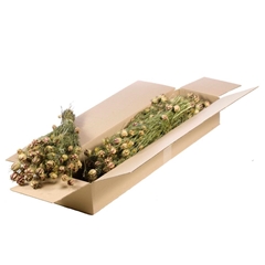 Droogbl Bewerkt H% 50cm 95gram