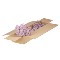 Droogbl Bewerkt H% 50cm 85gram