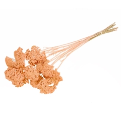 Droogbl Bewerkt H% 50cm 85gram
