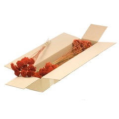 Droogbl Bewerkt H% 50cm 60gram