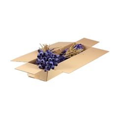 Droogbl Bewerkt H% 55cm 150gram