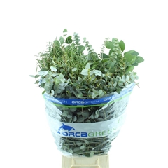 Euc Mixed Per Bunch 70cm 300gram