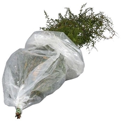 Decor Groen Other 130cm