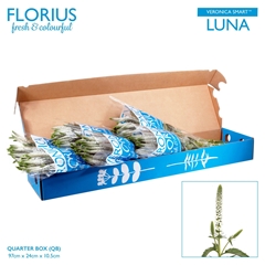 Veron Smart Luna Wit 60cm