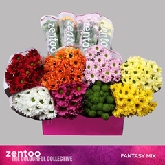 Chr T Mixed 70cm 85gram