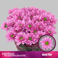 Chr T Resq Pink 70cm 75gram