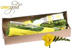 Fr Du Soleil 54cm 20gram 13