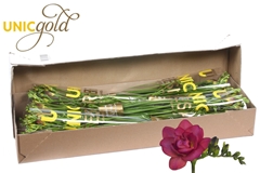 Fr Du Expression 52cm 26gram 13
