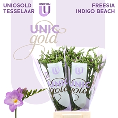 Fr En Indigo Beach 52cm 20gram 13