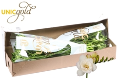 Fr Du Starlight 52cm 21gram 23