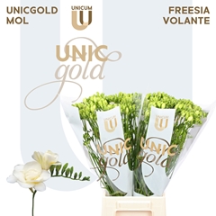 Fr Du Volante 54cm 20gram 13