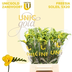 Fr Du Soleil 52cm 24gram 23