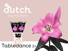 Li Ot Tabledance 80cm 25+