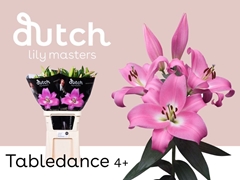 Li Ot Tabledance 90cm 45+