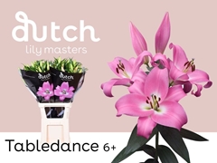 Li Ot Tabledance 90cm 65+
