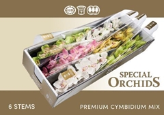 Cymb Branch Mixed 80cm 13+