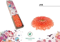 Ge Bv Gerponi Jive 45cm 7cm Ø